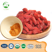 Baya de Goji natural PE Polvo Pérdida de peso natural Baya de goji Bayas de goji frescas orgánicas